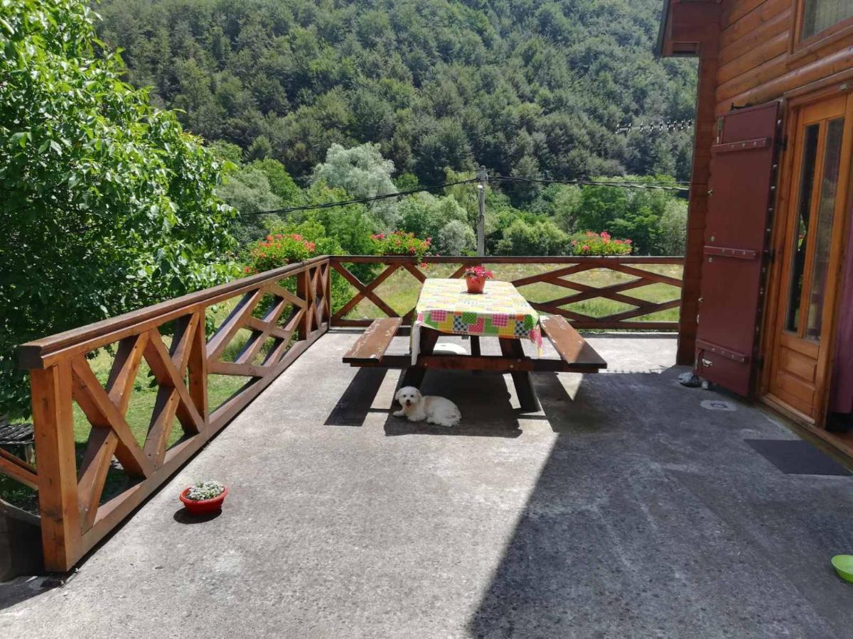 Vila Jelena Crni Vrh Exterior photo